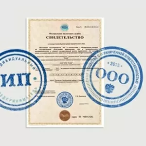 Регистрация ООО ИП в Калининграде
